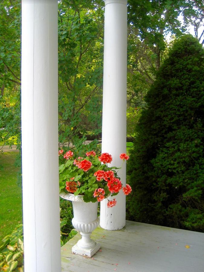 Millbrook Country House Экстерьер фото